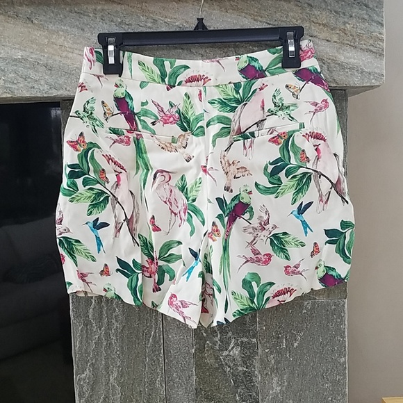 Ann Taylor shorts - Picture 2 of 3